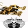 cordoniera-per-avvocato-cassazionista-oro-nero