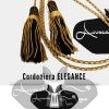 cordoniera-per-avvocato-cassazionista-oro-nero-coppia