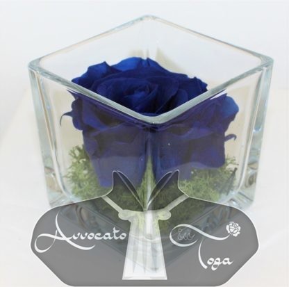 Idea regalo Rosa blu naturale stabilizzata per scrivania in cubo di vetro