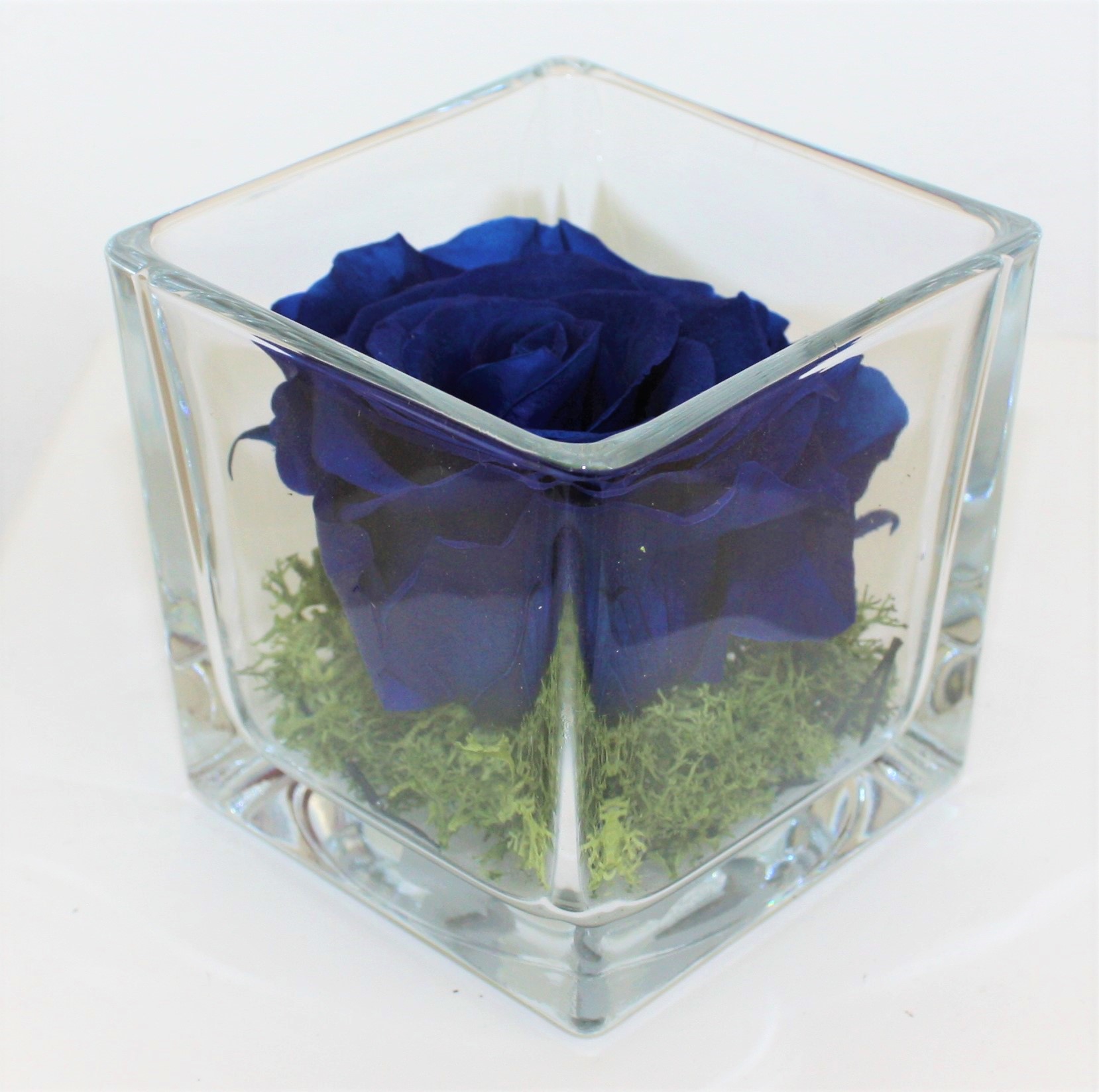 Idea regalo Rosa blu naturale stabilizzata in cubo vetro