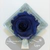 Idea regalo Rosa blu naturale stabilizzata per laurea avvocato