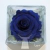 Idea regalo Rosa blu naturale stabilizzata per proclamazione avvocato