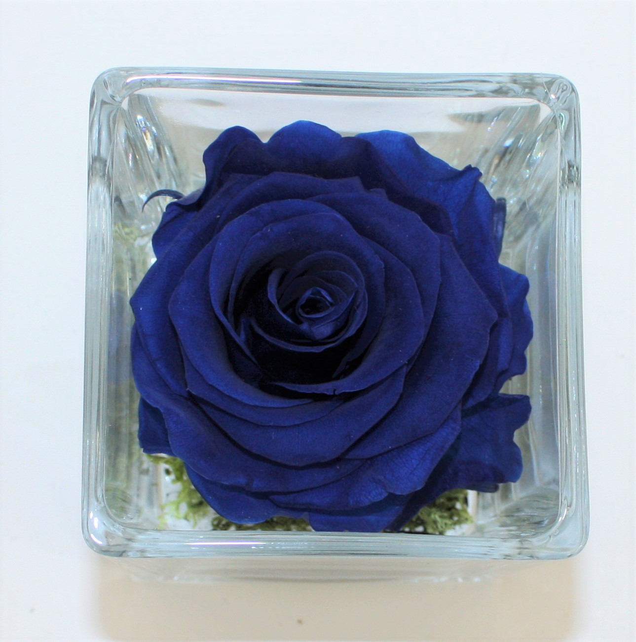 Idea regalo Rosa blu naturale stabilizzata in cubo vetro - Avvocato in Toga