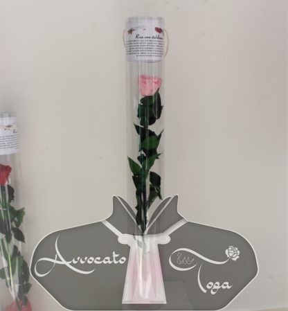 idea regalo rosa stabilizzata