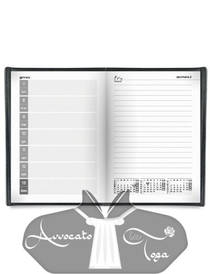 agenda-legale-colori-moderna-try-tascabile-interno-pagine